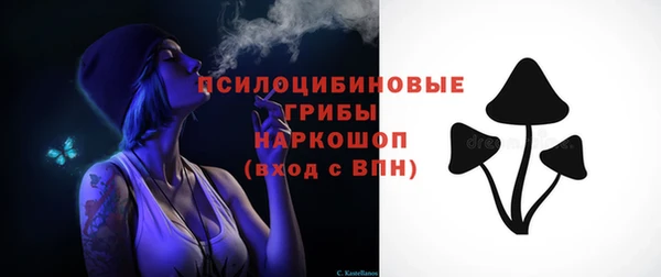 ГАЛЛЮЦИНОГЕННЫЕ ГРИБЫ Тавда