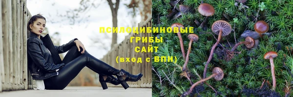 сатива Окуловка