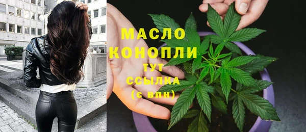 ГАЛЛЮЦИНОГЕННЫЕ ГРИБЫ Тавда