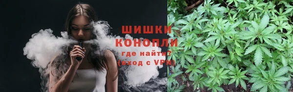 ГАЛЛЮЦИНОГЕННЫЕ ГРИБЫ Тавда