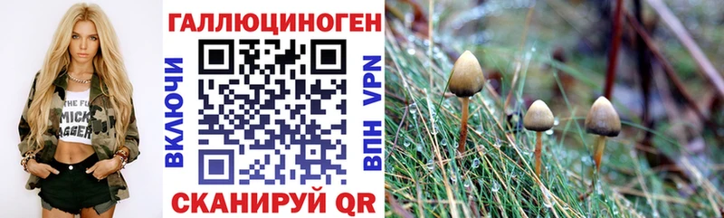 как найти закладки  Благовещенск  Галлюциногенные грибы мицелий 