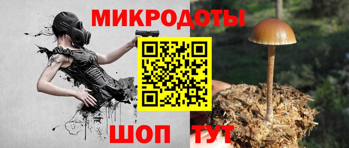 Благовещенск  Галлюциногенные грибы мухоморы  Вход с VPN 